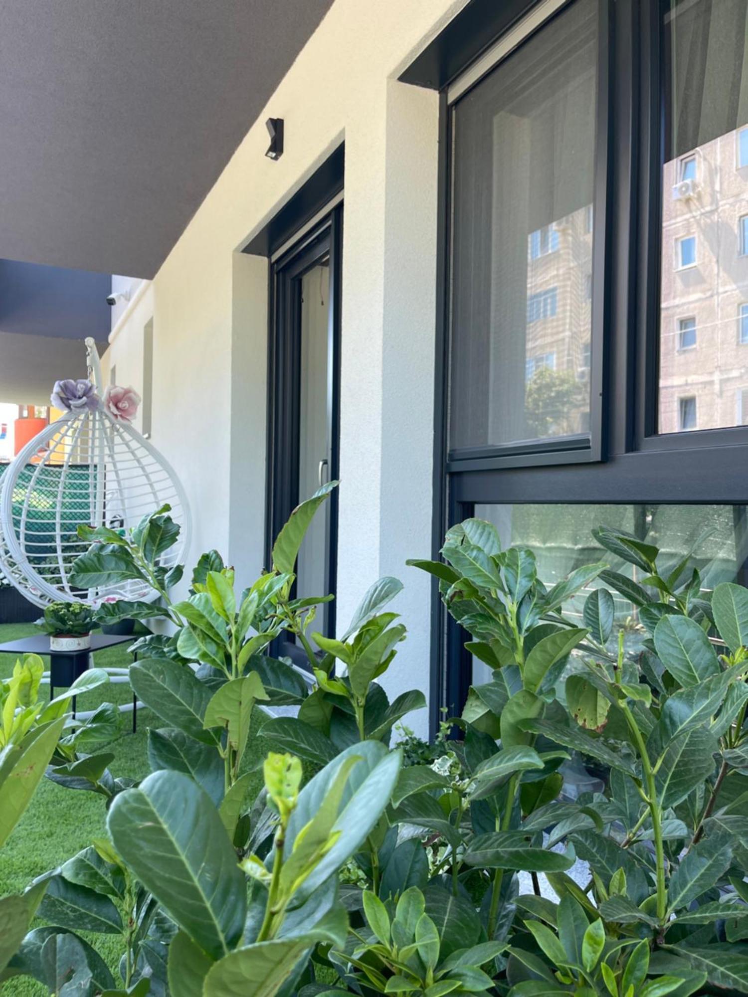 Am Apartments Τιμισοάρα Εξωτερικό φωτογραφία